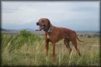 /album/rodinka/a4-9-08lexi-065-jpg/